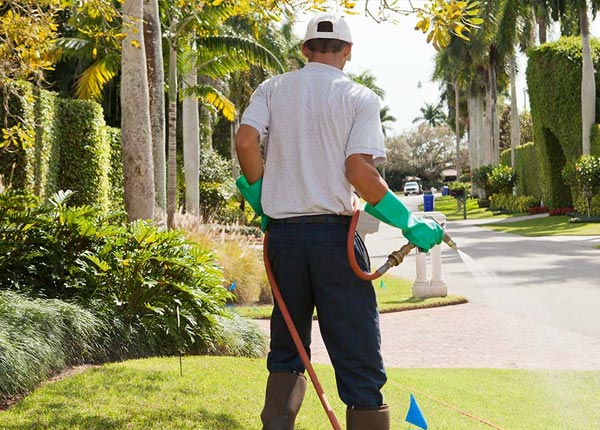 About Banks OR Pest Control Pros